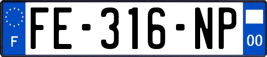 FE-316-NP
