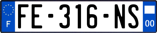 FE-316-NS