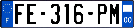 FE-316-PM