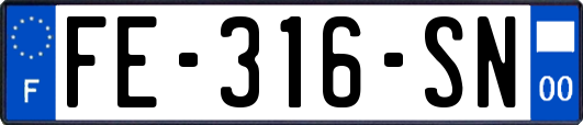 FE-316-SN