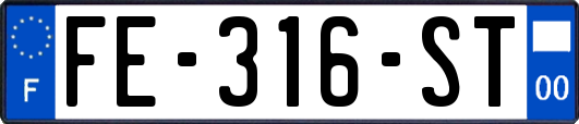 FE-316-ST