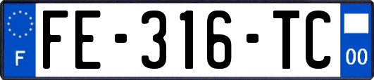 FE-316-TC