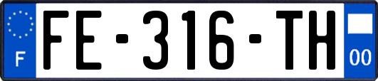 FE-316-TH