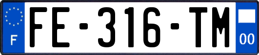 FE-316-TM