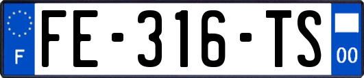 FE-316-TS
