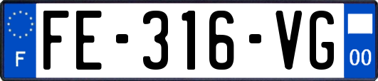 FE-316-VG