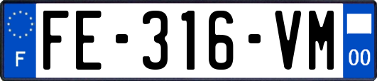 FE-316-VM