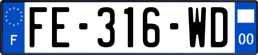 FE-316-WD