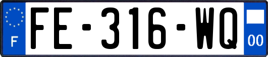 FE-316-WQ