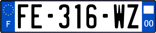 FE-316-WZ