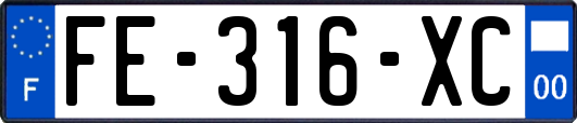 FE-316-XC