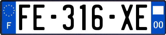 FE-316-XE