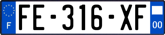 FE-316-XF