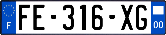 FE-316-XG