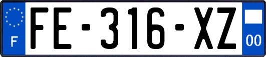 FE-316-XZ