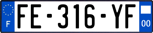 FE-316-YF
