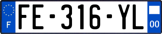 FE-316-YL