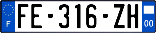 FE-316-ZH