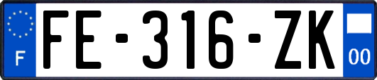 FE-316-ZK