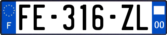 FE-316-ZL