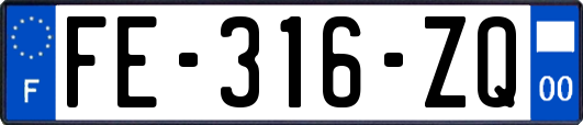 FE-316-ZQ