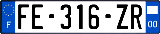 FE-316-ZR