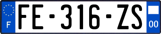 FE-316-ZS