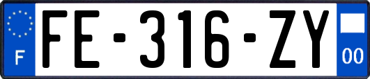 FE-316-ZY
