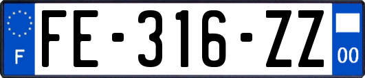 FE-316-ZZ