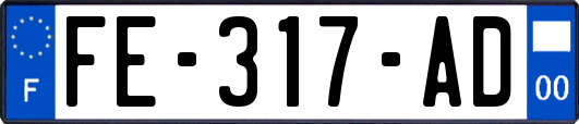 FE-317-AD