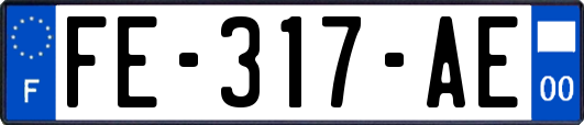 FE-317-AE