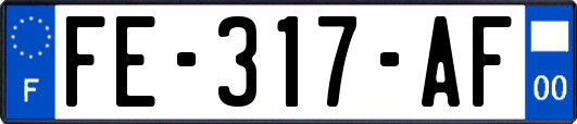 FE-317-AF