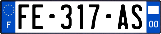 FE-317-AS