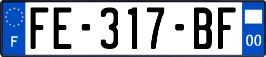 FE-317-BF