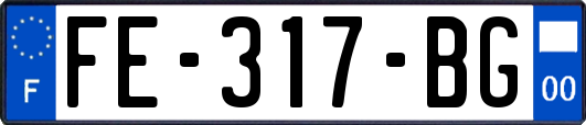 FE-317-BG