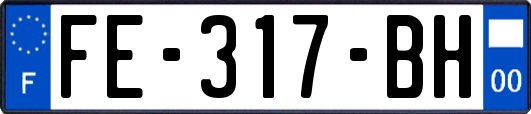 FE-317-BH