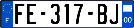 FE-317-BJ