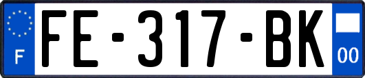 FE-317-BK
