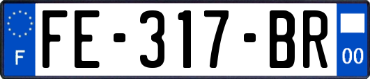 FE-317-BR