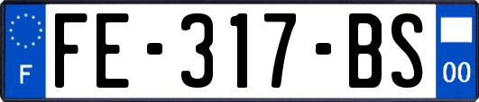 FE-317-BS