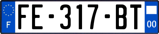 FE-317-BT