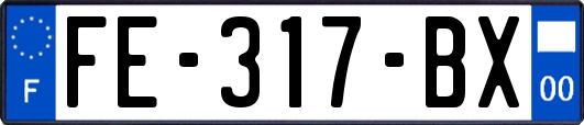 FE-317-BX