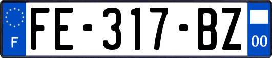 FE-317-BZ
