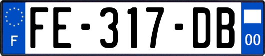 FE-317-DB