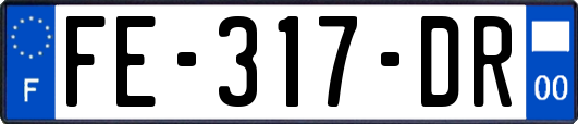 FE-317-DR