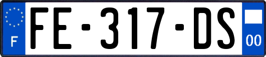FE-317-DS
