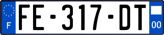 FE-317-DT