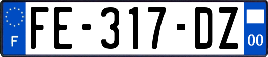 FE-317-DZ