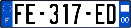FE-317-ED