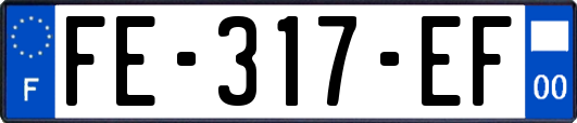 FE-317-EF